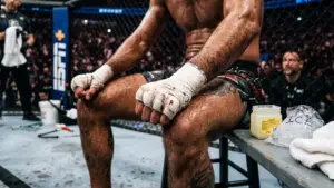 UFC Fighter Stats for Betting: Which Numbers Matter